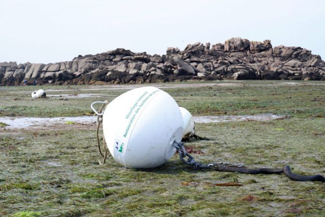 Ino-Rope sviluppa i suoi cavi d'ormeggio in tessuto per limitare i graffi e i danni alla vita marina