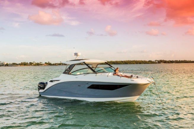Sea Ray non  pi in vendita!