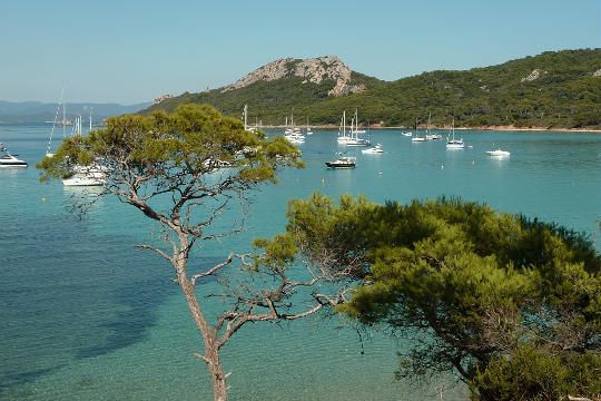 Riserva naturale di Port-Cros nel dipartimento del Var